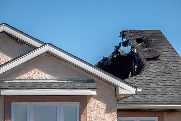 Top rated local Odor Removal specialists in Dublin, TX